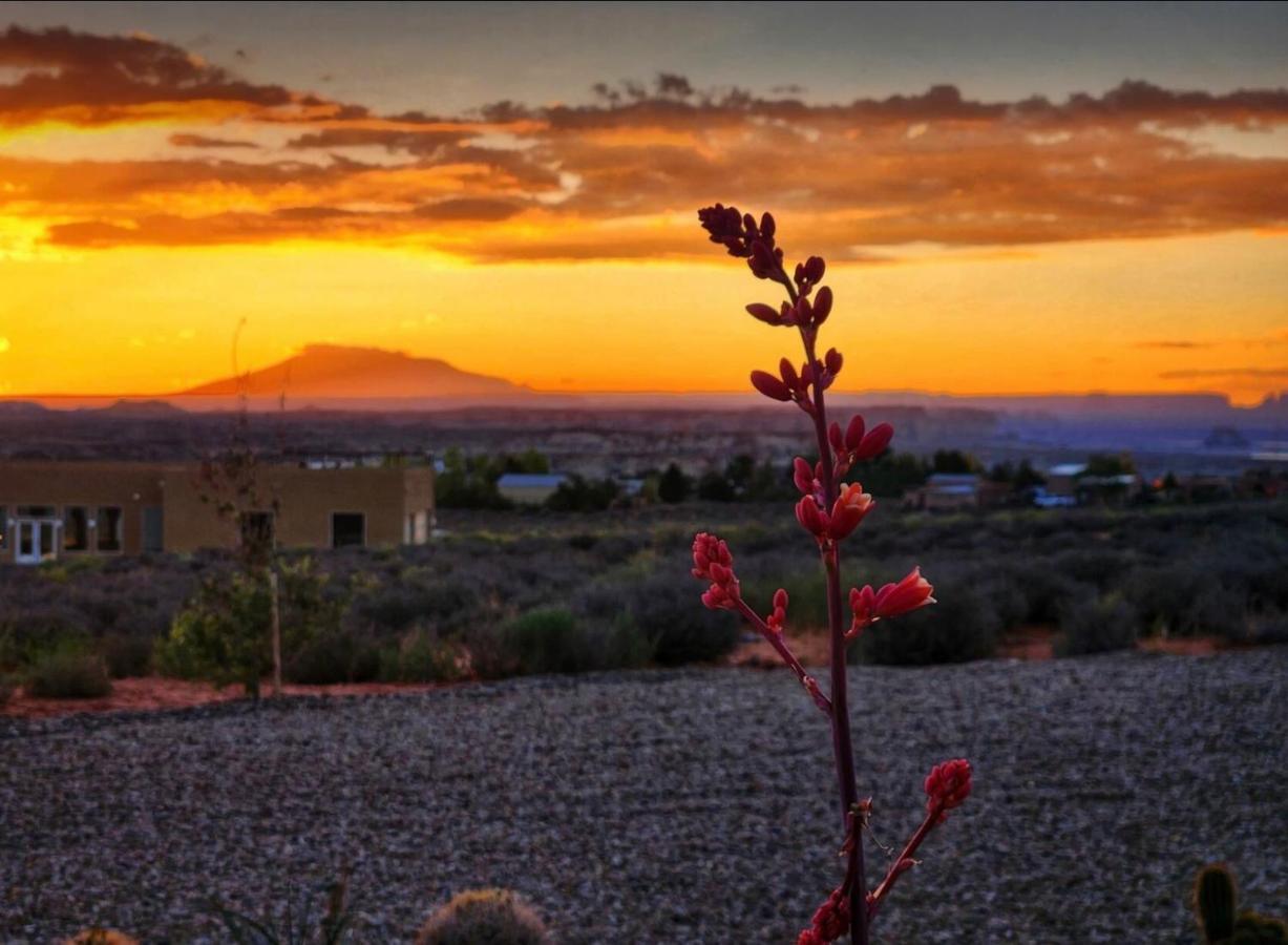 Page Arizona Border Town- Grand Serenity Room With Mesa Views 빅 워터 외부 사진
